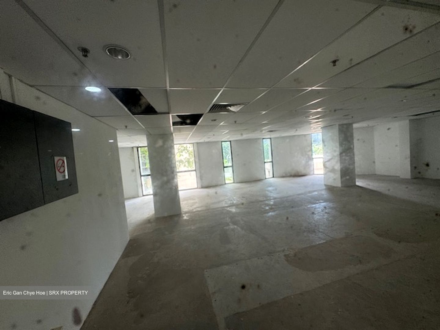 Orchard Plaza (D9), Shop House #439718431